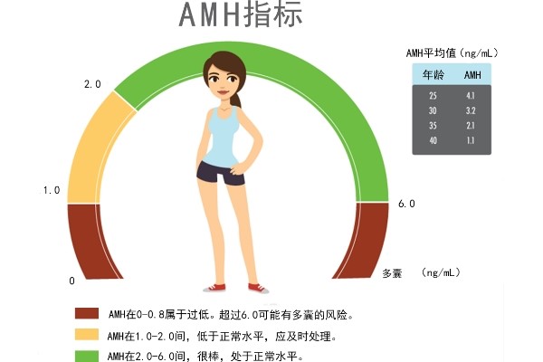 廊坊供卵公司生儿子多少钱：如果AMH水平为3，在美国做试管婴儿可以取到多少个卵子？