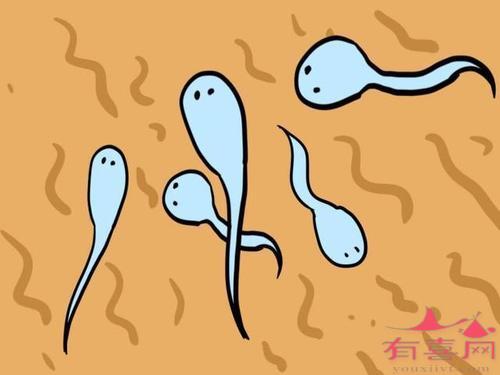 无锡助孕中介官网-男性如何增加精子数量，方法有哪些？